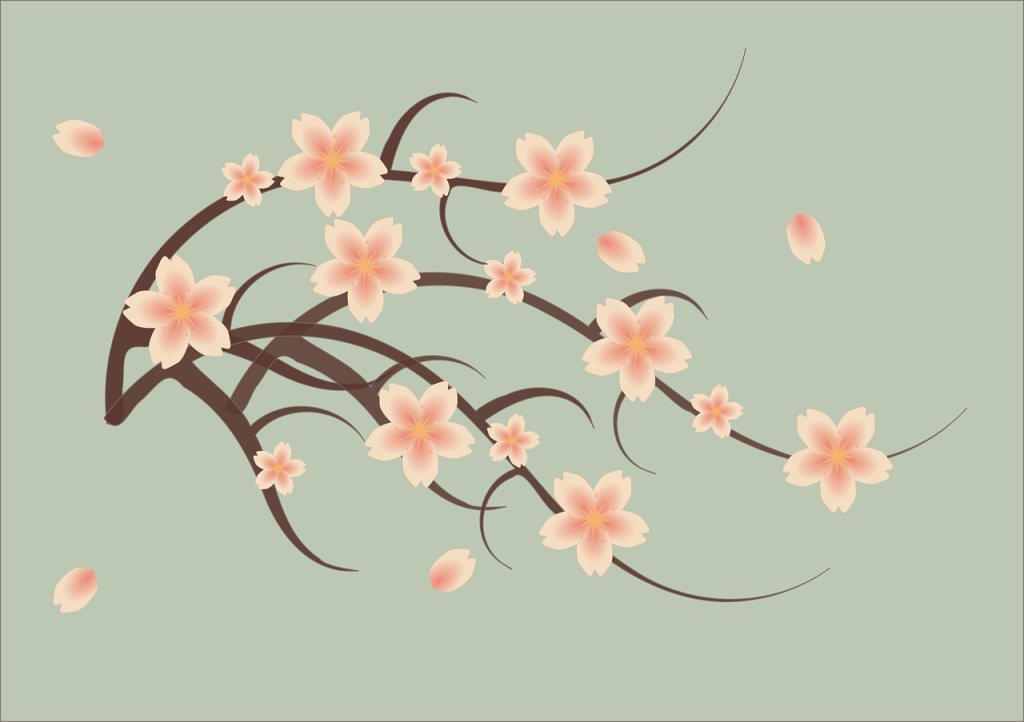 fleurs de cerisier, branche et fleurs roses